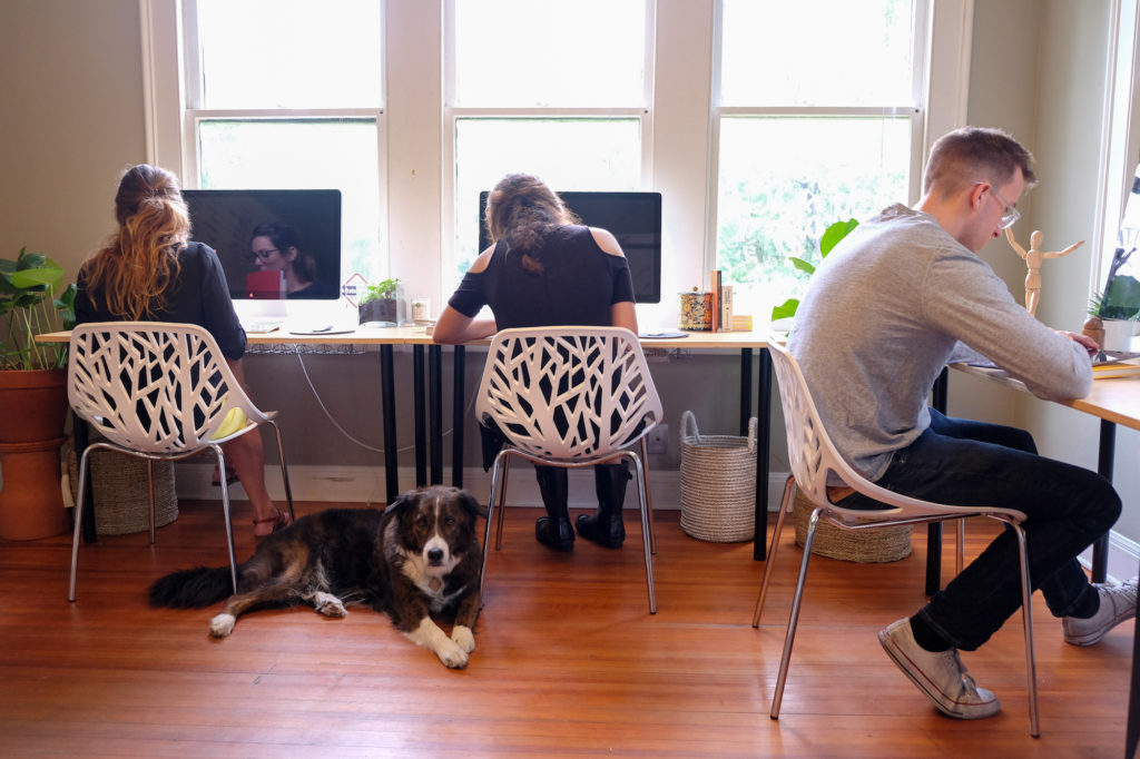 STAV Creative Team and Everett the dog