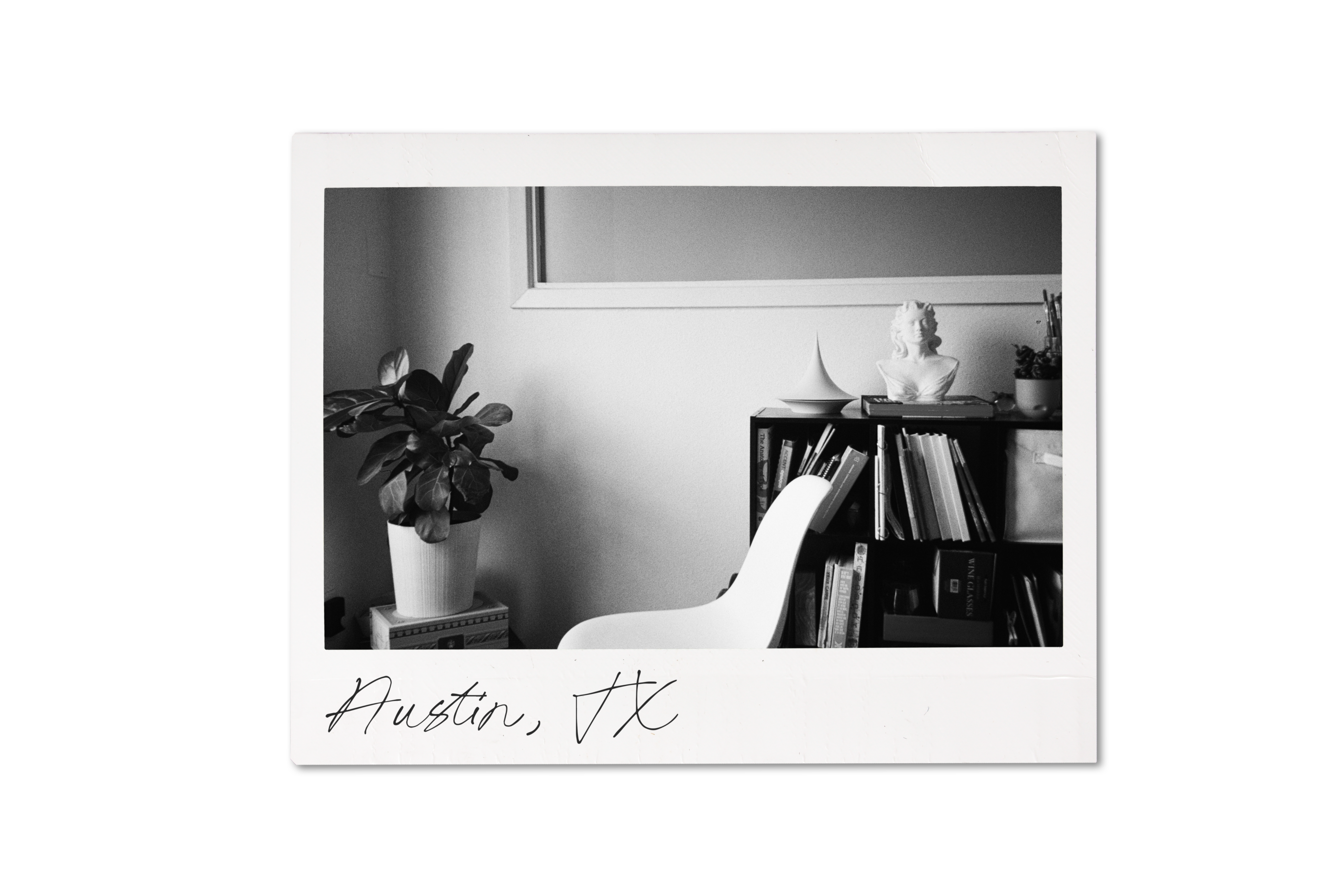 Polaroid 2