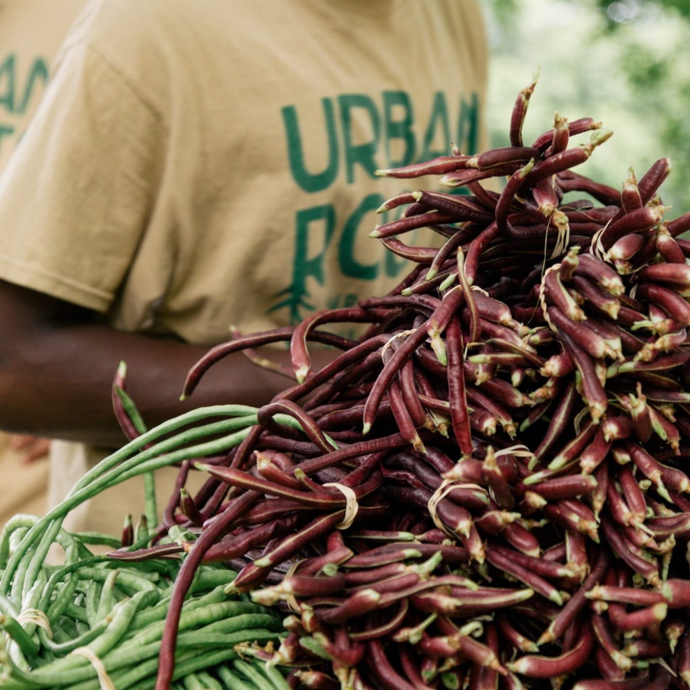 farm-youth-empowerment Urban Roots Youth at the Farm